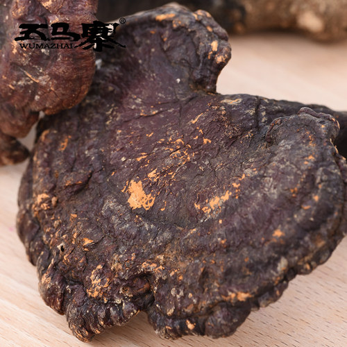 五马寨 广东特产 粤北韶关 灵芝 深山野生赤灵芝伞大整枝 500g - 图1