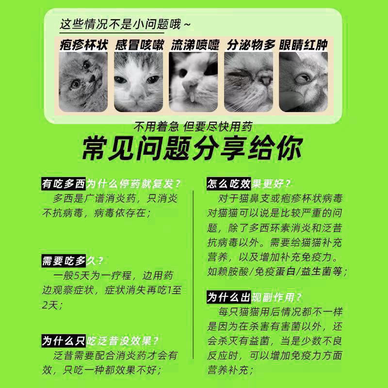 猫泛昔洛韦片猫鼻支特效感冒疱疹杯状病毒罗瑞里泛昔韦洛韦猫咪用,淘宝优惠券,粉丝福利购,淘宝优惠卷