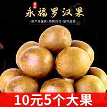 Guangxi special production of grosvenori dried fruits to bake homogenous large fruit bubble water tea fruit tea