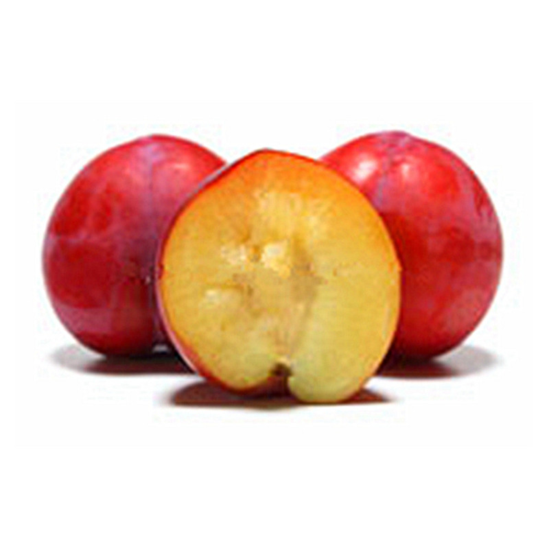 【李子树苗】嵊州桃形李蜂糖李桐乡槜李黑布林红心五月脆奈李苗,淘宝优惠券,粉丝福利购,淘宝优惠卷