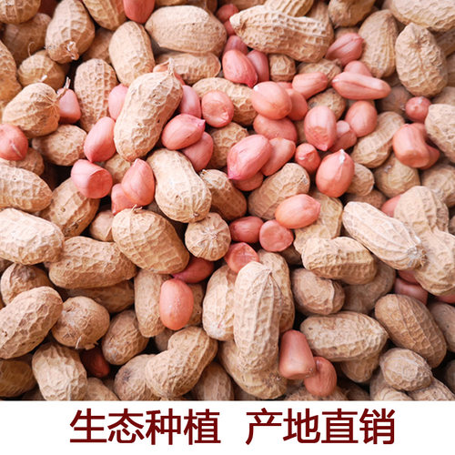 2025新鲜带壳生花生 新货5斤粉红皮农家自种新鲜干花生晒干种子米 - 图0