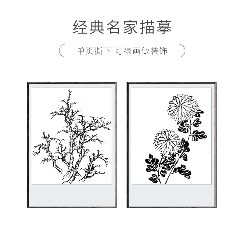 芥子园画谱宣纸白描底稿画稿线稿临摹本描摹册中国画工笔画专用梅兰竹菊翎毛花卉国画毛笔作品纸熟宣书画装裱 - 图2