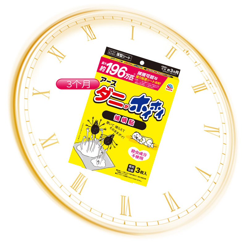 日本进口安速螨虫包被褥床垫家用沙发床螨虫贴无毒除螨祛螨虫神器,淘宝优惠券,粉丝福利购,淘宝优惠卷