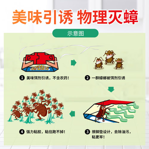 日本安速蟑螂屋小强恢恢捕捉贴物理强力粘6片驱灭蟑螂药家用厨房 - 图1