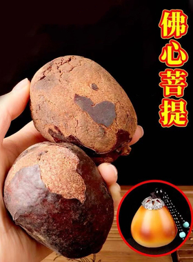 木木专场直播1号店情侣木头