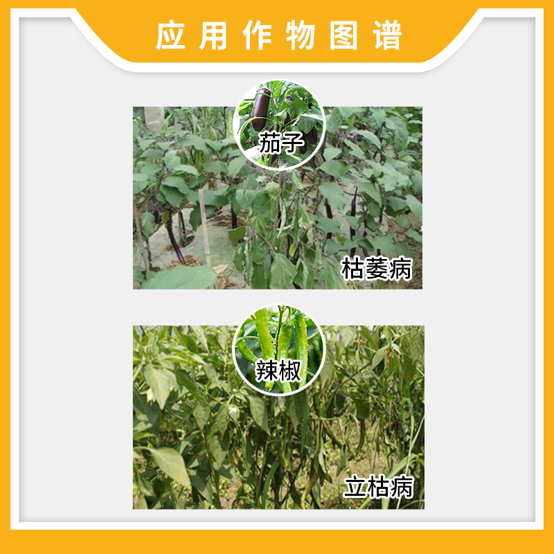 瑞德丰跟福灵多菌灵福美双茄子辣椒枯萎病立枯病多福杀菌剂农药-图2