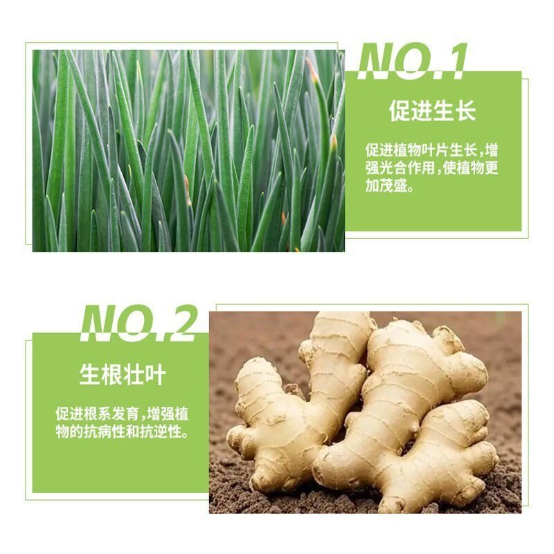 八个老头姜蒜护卫队大葱大蒜生姜微生物菌剂蔬菜植物叶面肥促生,淘宝优惠券,粉丝福利购,淘宝优惠卷