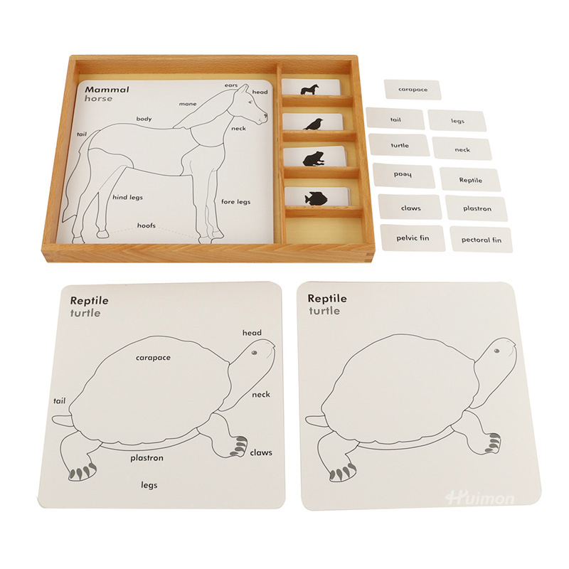 蒙氏教具动植物拼图三部卡蒙特梭利早教三段卡对照三步卡控制卡 - 图2