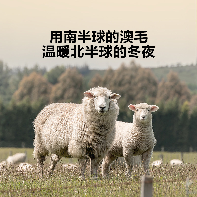 【李佳琦直播间】罗莱生活LOVO乐蜗家纺澳洲羊毛被冬被春秋被保暖,淘宝优惠券,粉丝福利购,淘宝优惠卷