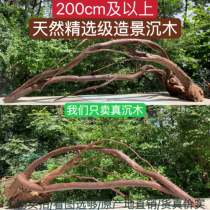 200cm and above large arched bridge South America Multi-branch View branches Tree pile Turtle Purple Grapefruit Wood Decorative Pendulum