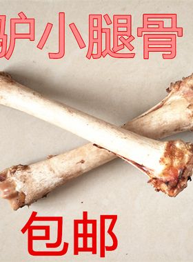 diy骨头牙齿工艺品雕刻吊坠原料