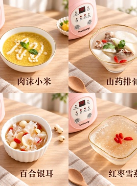 全陶瓷迷你电炖杯一人食养生