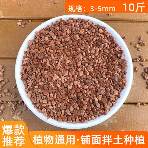多肉植物种植铺面陶粒彩石子火山绿沸麦饭石赤玉土多肉铺面石包邮 - 图2