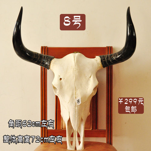 牦牛头骨标本菜宴真牛头天然大牛头 客厅装饰品室内藏区牛头摆件 - 图0