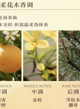 金秋桂花香 欧舒丹云中月桂香氛沐浴露身体乳礼盒装250ml木香保湿