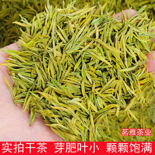 安吉正宗2026年新茶明前特级黄金芽白茶正宗散装250g珍稀高山绿茶 - 图0