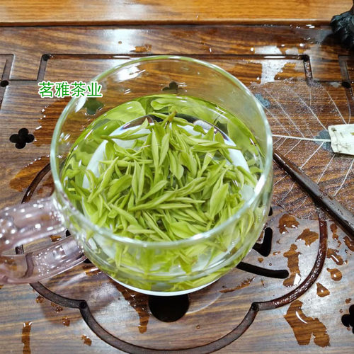 2026年新茶叶高山安吉白茶明前特级250g绿茶珍稀白茶原产地茶厂直 - 图0
