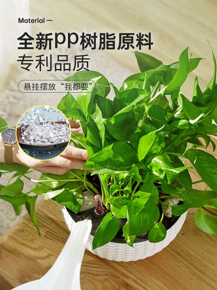 吊篮花盆自动吸水懒人悬挂式阳台吊花盆塑料创意挂篮绿萝箩吊兰盆-图0