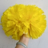 Чирлидеры держат цветы чирлидинг команды команды чирлидинг танце