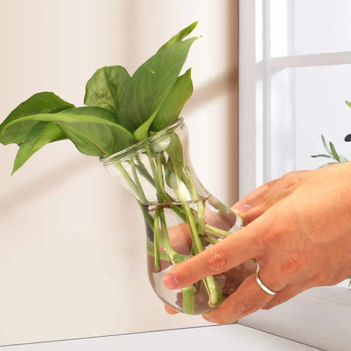 简约玻璃花瓶风信子透明花瓶办公室桌面水培绿萝器皿客厅装饰摆件 - 图0