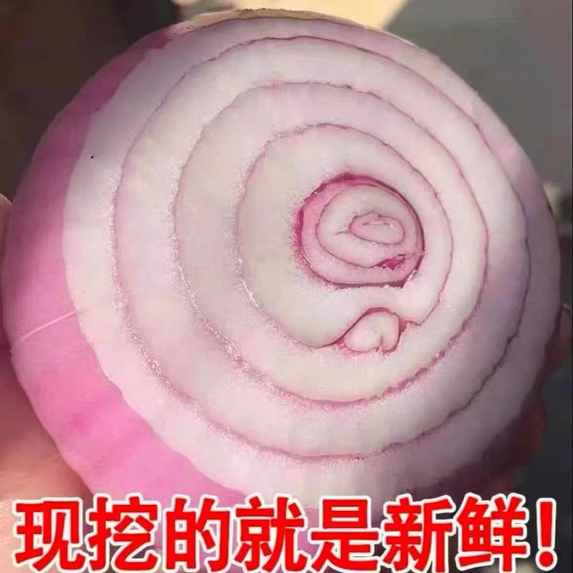 现挖新鲜山东二红扁圆水果洋葱可生吃甜辣生吃凉拌5斤,淘宝优惠券,粉丝福利购,淘宝优惠卷