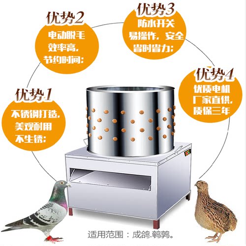 鸽子脱毛机鸽子打毛机乳鸽专用拔毛机成年鸽脱毛机鹌鹑鸟50斑鸠 - 图2