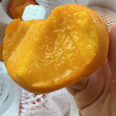 彩虹油蟠桃【口感喜好不售后】收到取出通风放置