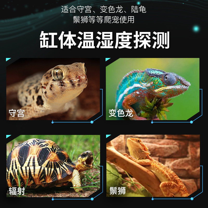 爬宠温度计多款室内爬虫饲养箱宠物乌龟角蛙蜥蜴鬃狮温度湿度计,淘宝优惠券,粉丝福利购,淘宝优惠卷