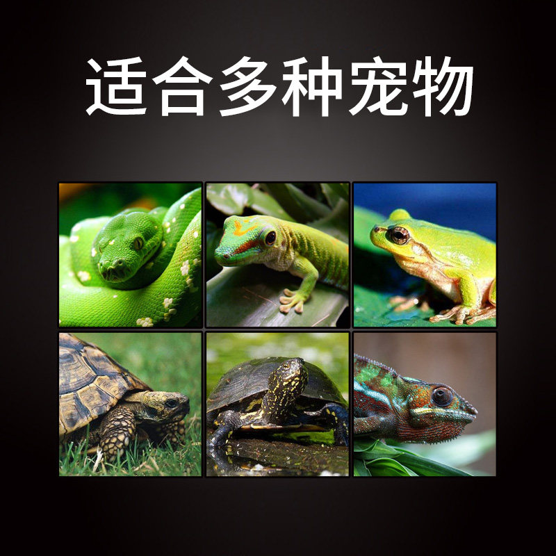 乌龟晒背灯uva+uvb3.0太阳灯爬宠加热灯泡活体保温补钙杀菌陶瓷灯,淘宝优惠券,粉丝福利购,淘宝优惠卷