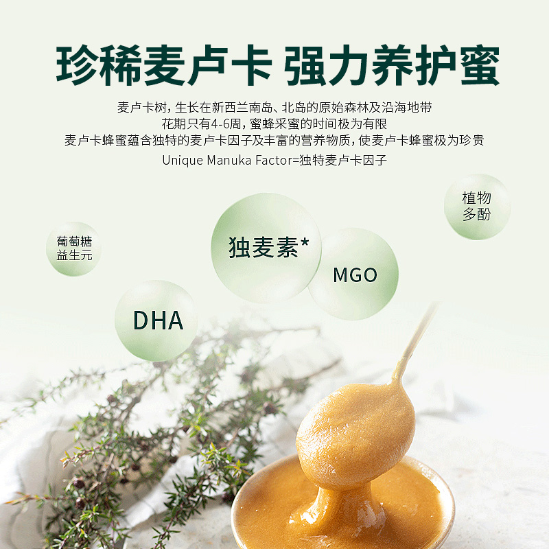 【自营】【10+礼盒】康维他麦卢卡10+蜂蜜500gX2新西兰进口礼品