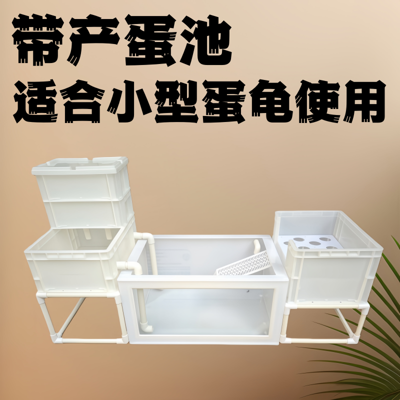 蛋龟养殖箱乌龟箱养果核剃刀麝香龟小型龟繁殖箱循环过滤养龟箱新,淘宝优惠券,粉丝福利购,淘宝优惠卷