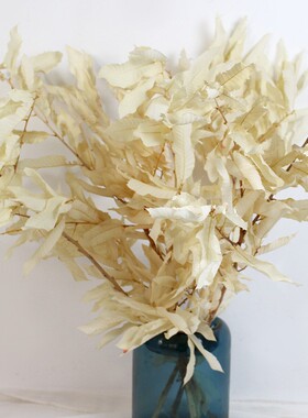 永生板栗叶干花婚庆红色叶子装饰摆设插花布景橱窗软装陈设配叶