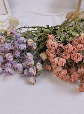 碎冰蓝玫瑰干花真花蔷薇多头小玫瑰干花diy相框花材染色玫瑰干花