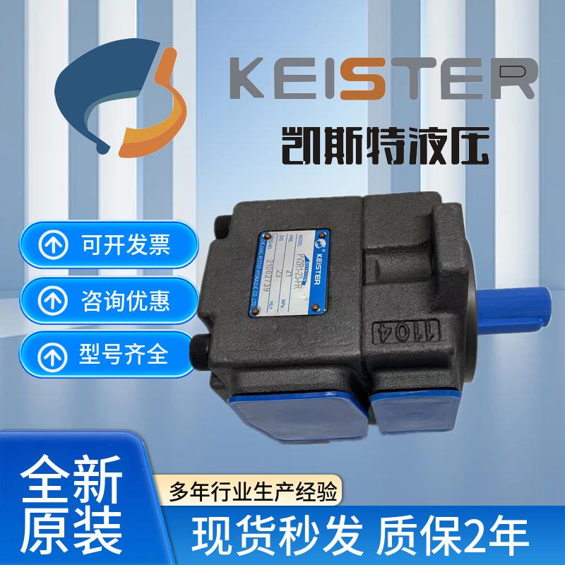 凯斯特KEISTER叶片泵PV2R1-10 14 17 19 23 25 28 31-FR 液压油泵 - 图2