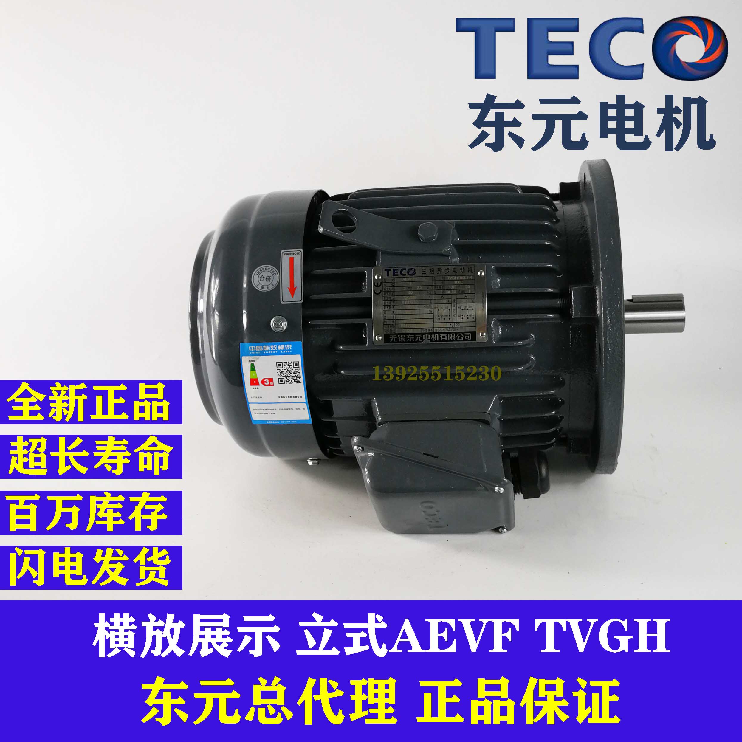 TECO台湾东元电机2.2 3.7KW 5.5 7.5KW立式AEVF TVGH刹车制动马达 - 图2