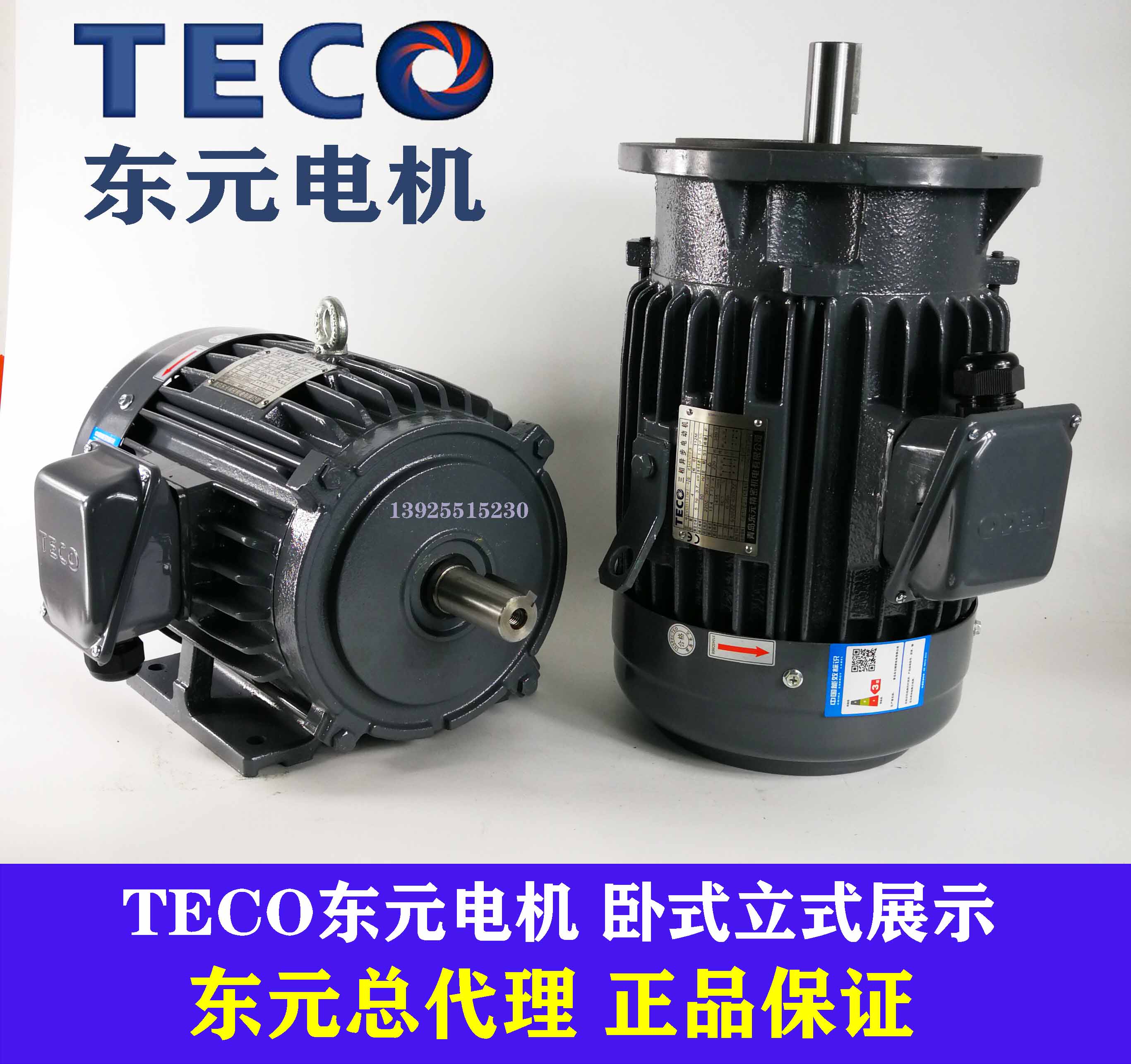 TECO台湾东元电机2.2 3.7KW 5.5 7.5KW立式AEVF TVGH刹车制动马达 - 图1