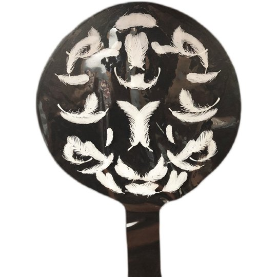 18寸羽毛波波球印花气球生日派对装饰婚礼婚房布置正圆羽毛透明球