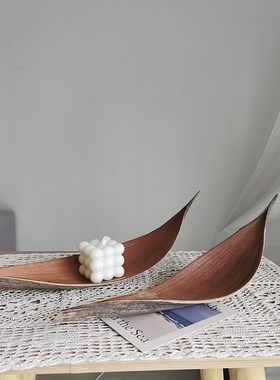 ins天然植物叶片小众风家居装饰