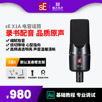 US sE X1A microphone recording slingshot live with acoustic book anchor device big shock film capacitive microphone