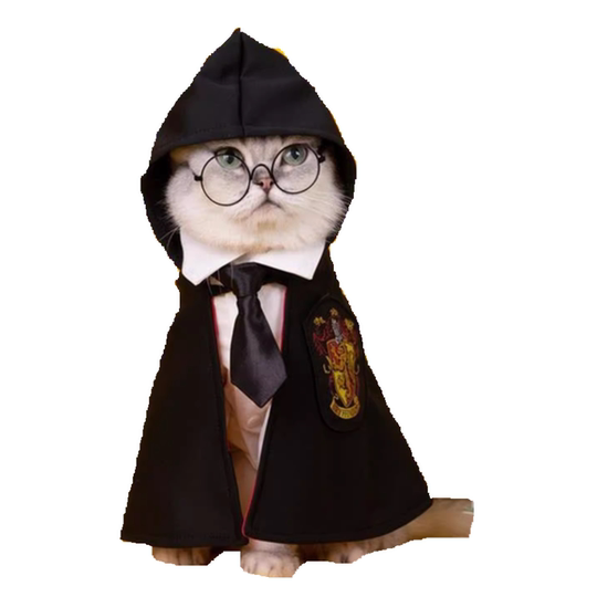 Halloween cosplay Harry Potter pet clothes