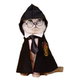 Halloween cosplay Harry Potter pet clothes