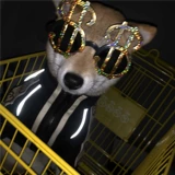 Осенний спортивный костюм, черная толстовка с молнией