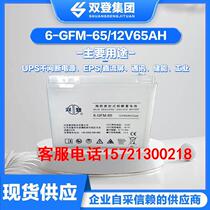 Double Den Storage Battery 12V65AH Maintenance-free lead-acid 6-GFM-65 DC Screen UPS Fire EPS Communication Room