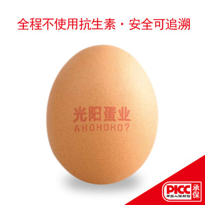 光阳蛋业虫子鲜鸡蛋30枚礼盒装新鲜农家土鸡蛋溏心蛋新年春节送礼