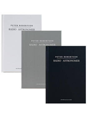 书籍样板房装饰摆件简约