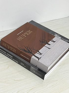 摄影样板房摆件简约现代