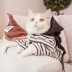 Mèo quần áo Anh ngắn đẹp búp bê vải ngắn màu xanh mèo dễ thương xu hướng nhỏ sữa mèo ấm bốn chân quần áo thú cưng mùa thu và quần áo mùa đông - Quần áo & phụ kiện thú cưng quần cho chó Quần áo & phụ kiện thú cưng
