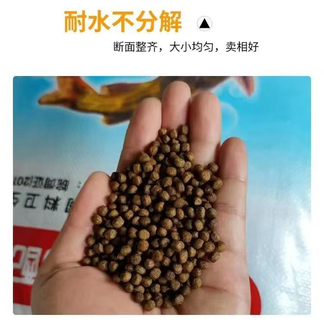 Huang La Ding pellet ໃຫ້ອາຫານປານ້ໍາທີ່ມີທາດໂປຼຕີນສູງ