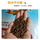 Huang La Ding pellet ໃຫ້ອາຫານປານ້ໍາທີ່ມີທາດໂປຼຕີນສູງ