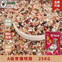 The Lord Dragon Dove Grain A Grade Yuembryonic Spray Nest Small Grain Feed Young Pigeon Racing Pigeon Racing Pigeon Feed 50 Jin Jiang Zhejiang Shanghai